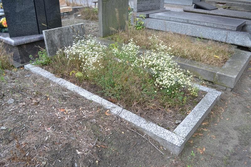Zdjęcie grobu: Ludwik Tabaczyński