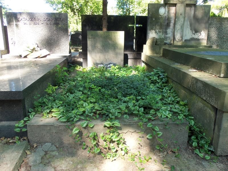 Zdjęcie grobu: Stefan Mielczarek