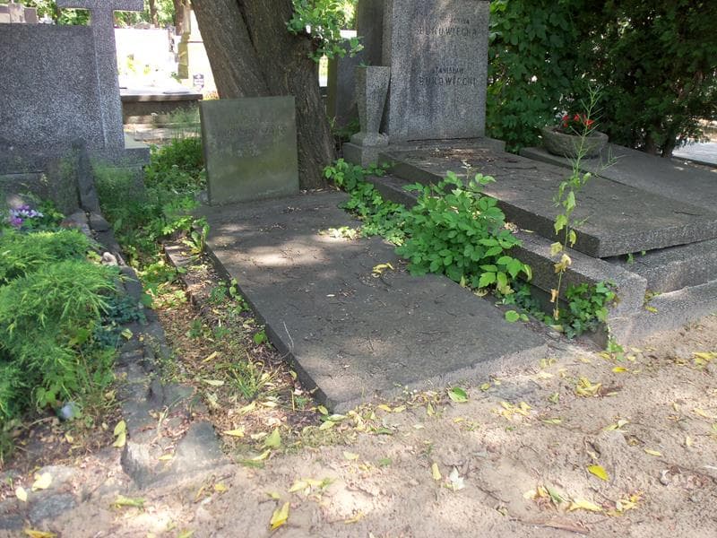 Zdjęcie grobu Aleksander Kryweńczyk (1)