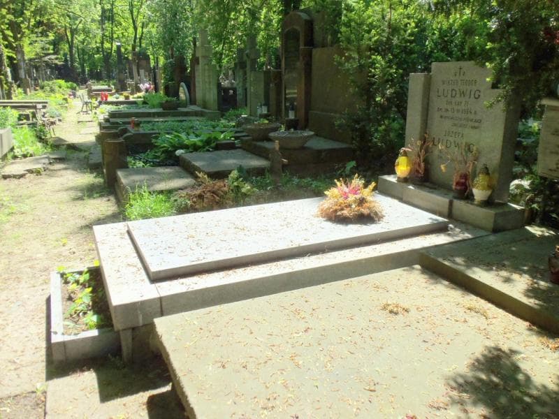 Zdjęcie grobu Józefa Ludwig (1)