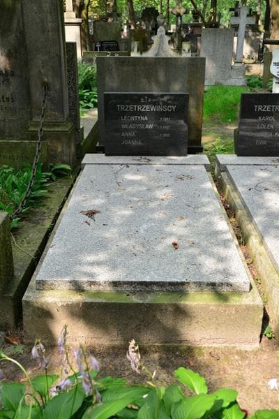 Zdjęcie grobu Leontyna Trzetrzewińska (1)