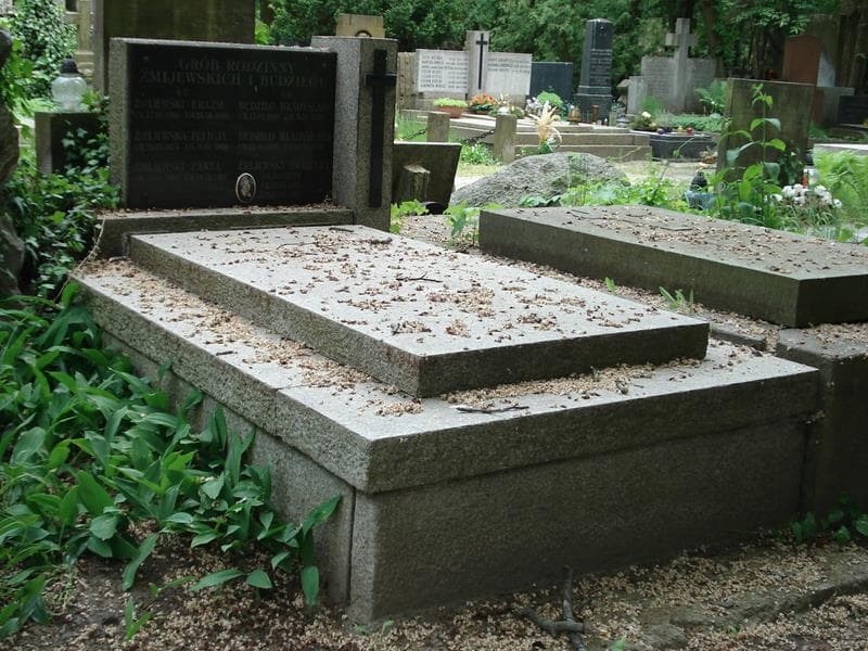 Zdjęcie grobu Władysława Budziło (1)