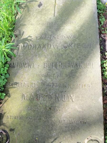 Zdjęcie grobu Marcyanna Martynów (2)