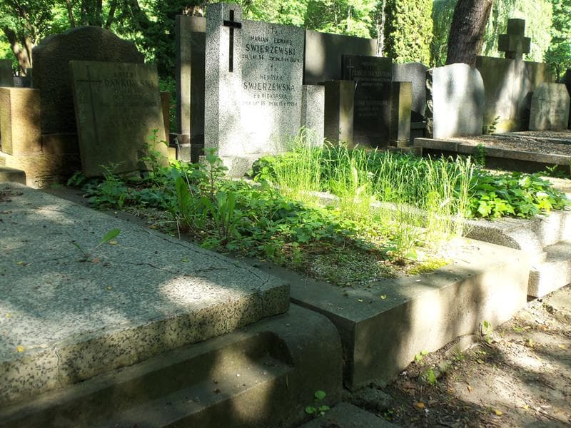 Zdjęcie grobu Antoni Dankowski (1)