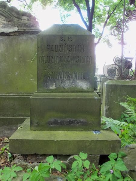 Zdjęcie grobu Kędzierzawscy (2)