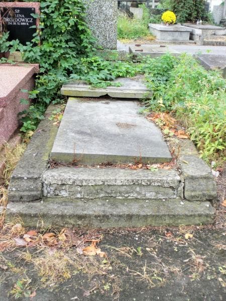Zdjęcie grobu: Antonina Zofia Drzewińska