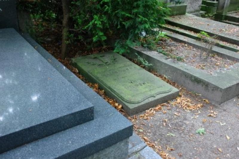 Zdjęcie grobu Teofil Malinowski (1)