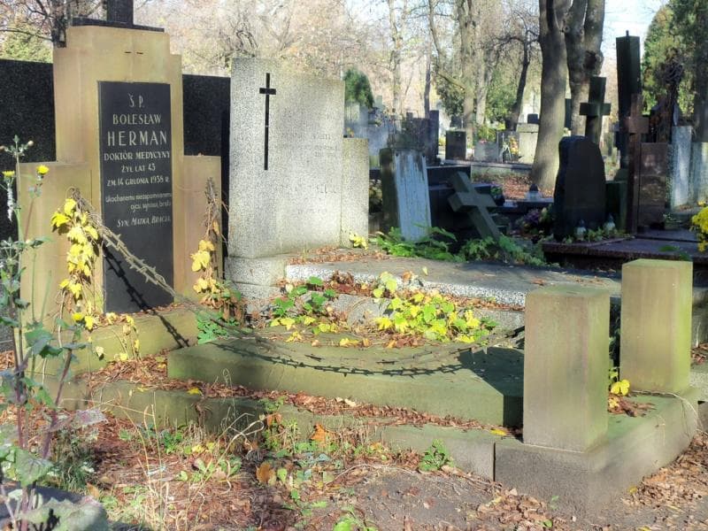 Zdjęcie grobu Bolesław Herman (1)