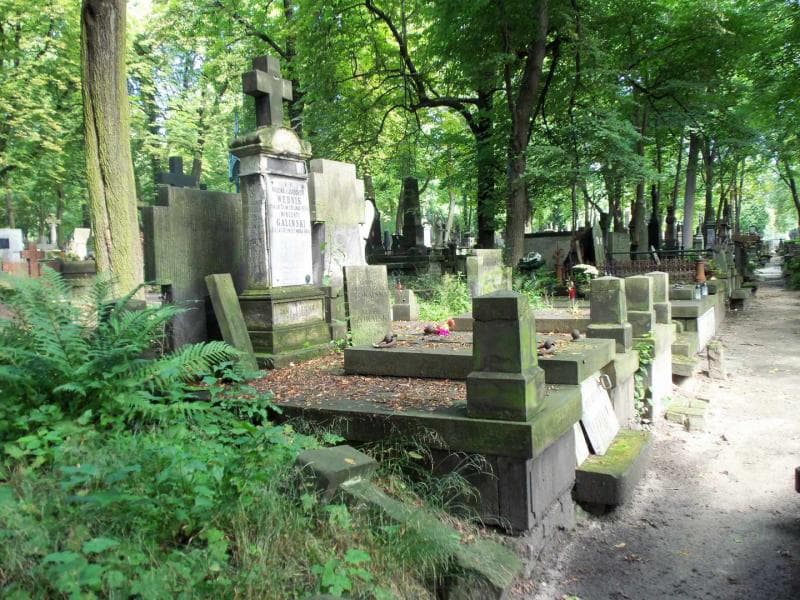 Zdjęcie grobu Natalia Bursztyńska (1)