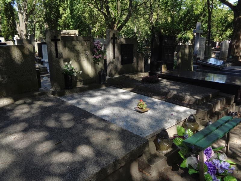 Zdjęcie grobu: Franciszek Szczęsny