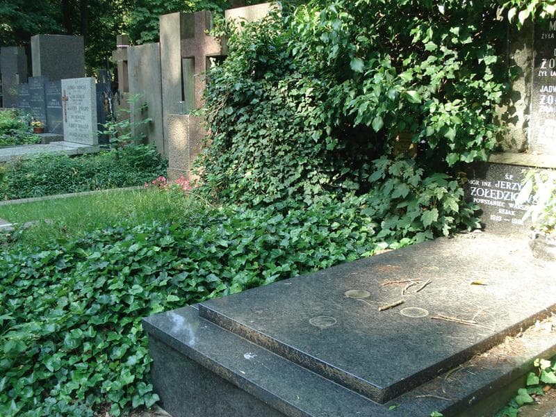 Zdjęcie grobu Józef Serrini (1)