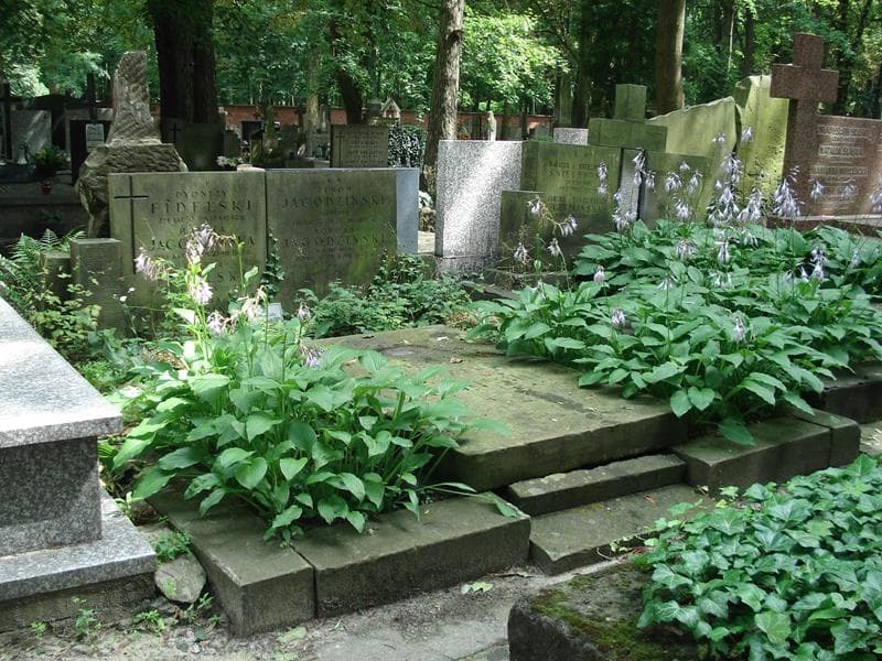 Zdjęcie grobu Bohdan Jagodziński (1)