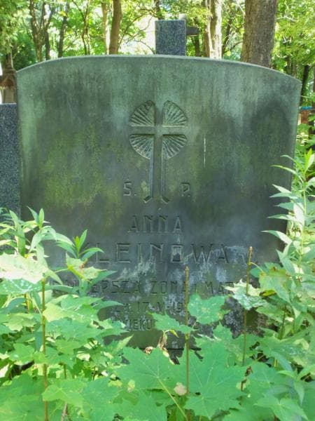 Zdjęcie grobu Anna Kleinowa (1)