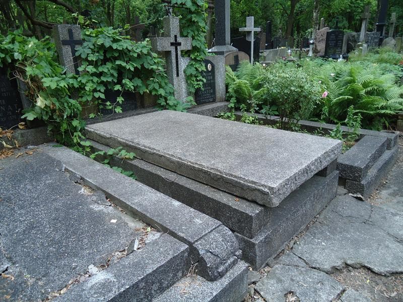 Zdjęcie grobu Janina Drobiówna (1)