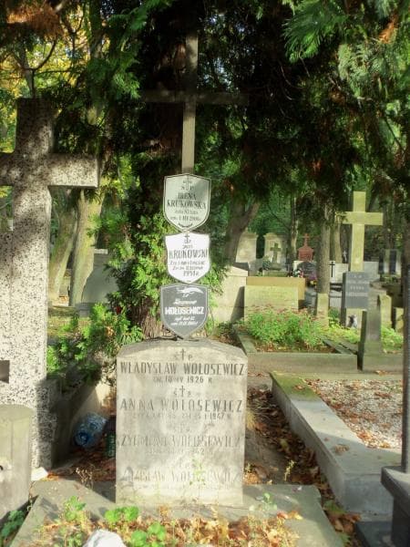 Zdjęcie grobu Anna Wołosewicz (2)