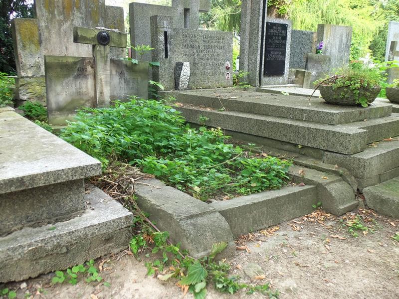 Zdjęcie grobu Janina Rytel (1)
