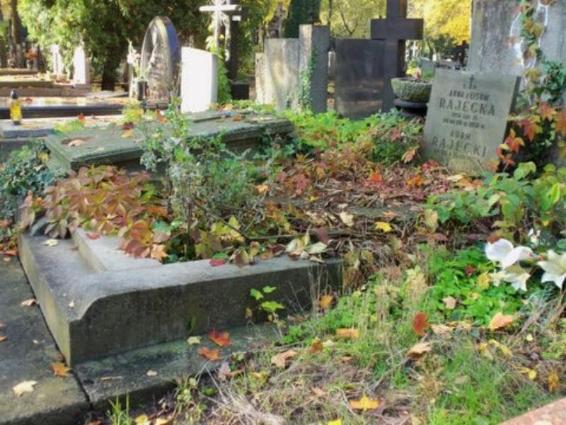 Zdjęcie grobu Jadwiga Harvey (1)