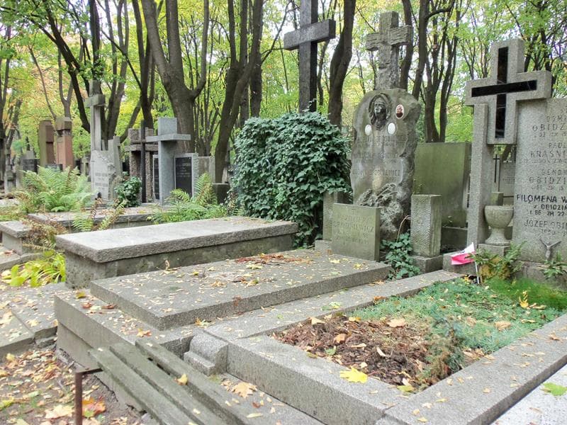 Zdjęcie grobu Władysław Brodniewicz (1)