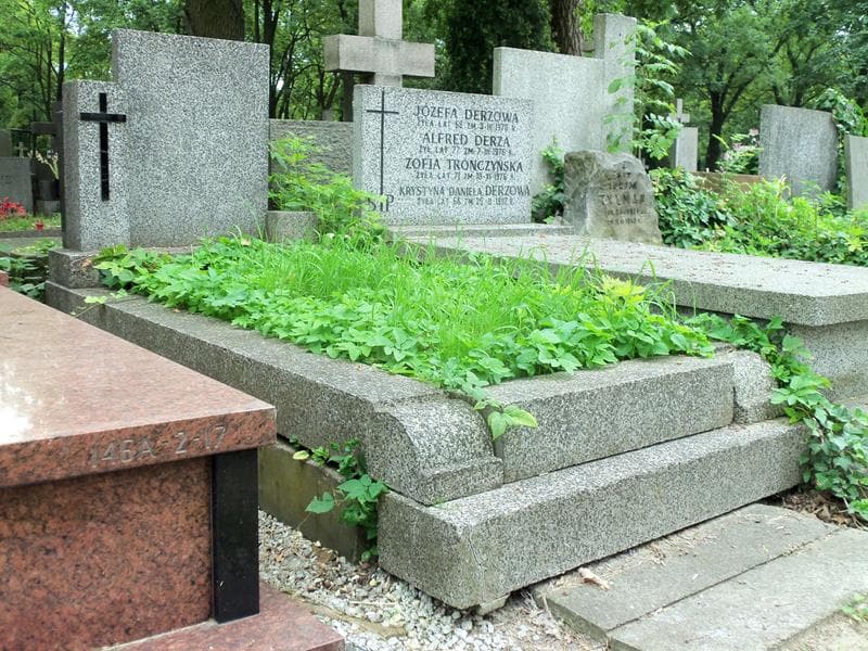 Zdjęcie grobu Wacław Lewicki (1)