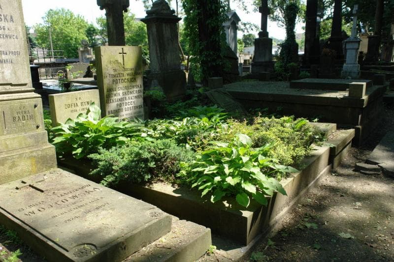 Zdjęcie grobu: Broncio Gostomski
