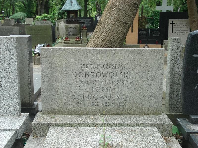 Zdjęcie grobu Stefan Czesław Dobrowolski (2)