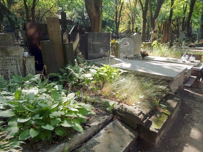 Zdjęcie grobu: Stanisława Węcławek