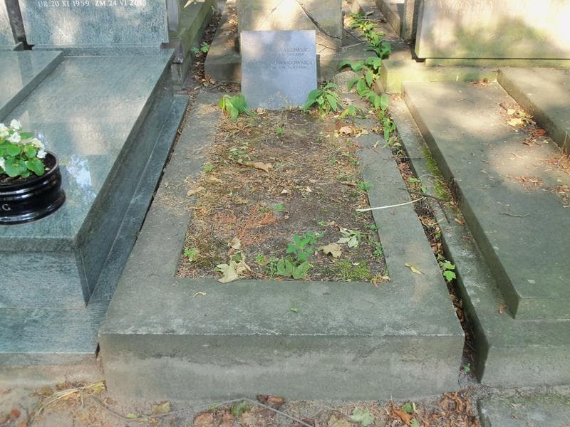 Zdjęcie grobu Stefan Nowakowski (1)