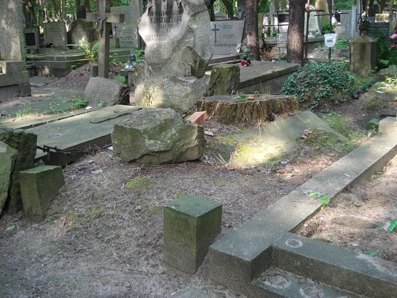 Zdjęcie grobu Julja Dąbrowska (1)