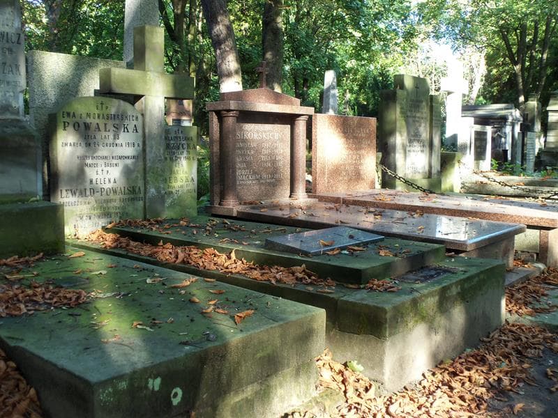 Zdjęcie grobu Janina Dębska (1)