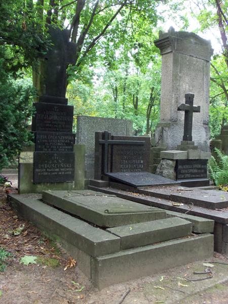 Zdjęcie grobu Zofja Dyduszyńska (1)