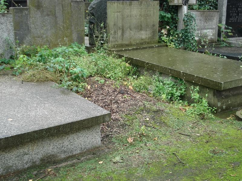 Zdjęcie grobu Romana Janicka (1)