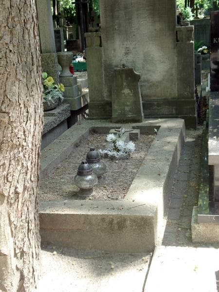 Zdjęcie grobu: Romuald Konstanty Goleniewski