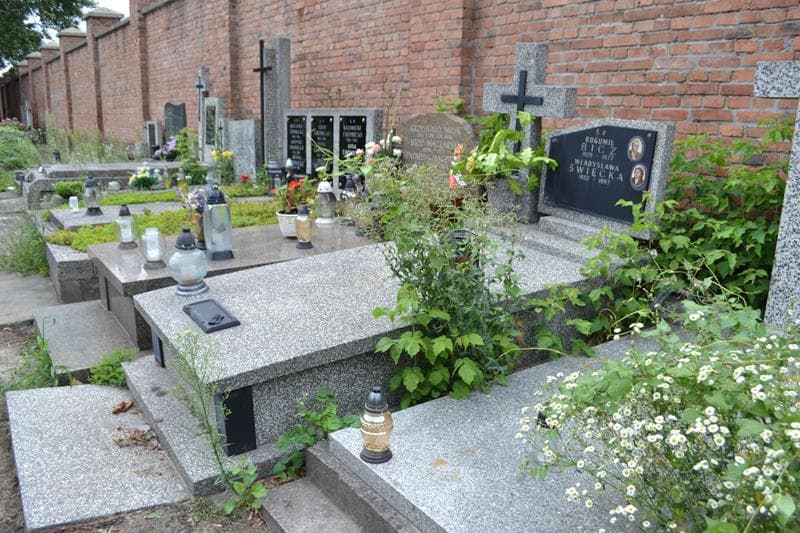 Zdjęcie grobu: Władysława Bicz