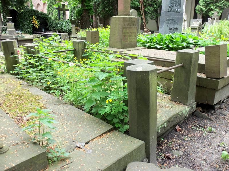 Zdjęcie grobu Bronisław Mieroszewski (2)