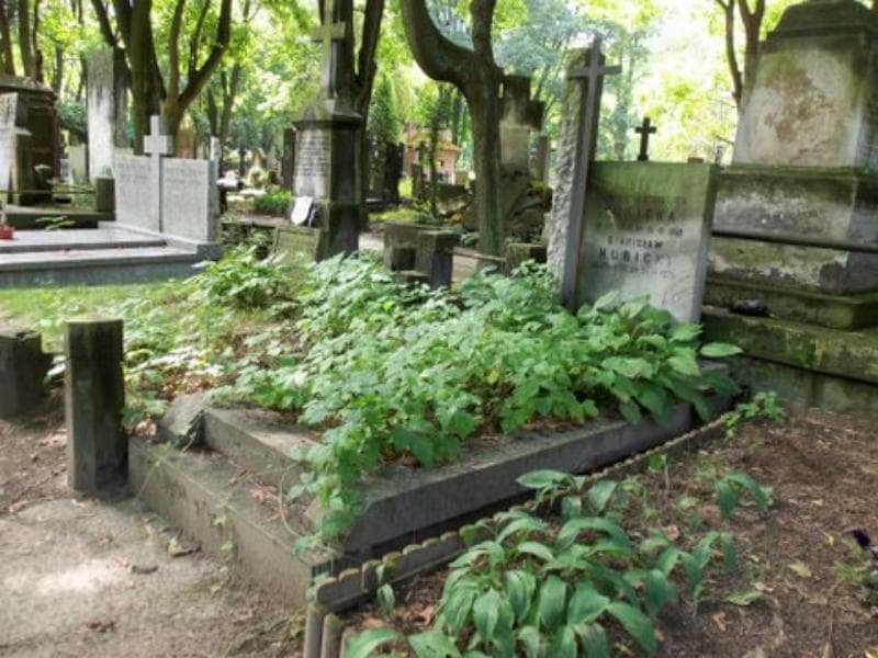Zdjęcie grobu Joanna Hubicka (1)