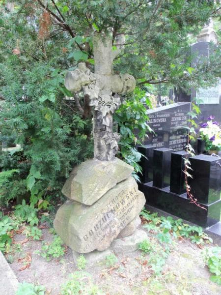 Zdjęcie grobu Teodor Borzuchowski (2)