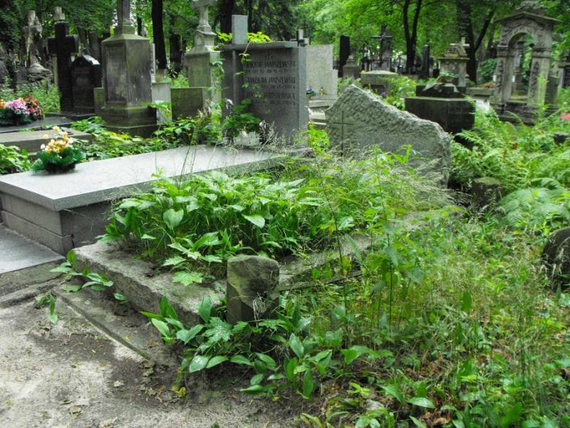 Zdjęcie grobu Stanisława Kurowska (1)