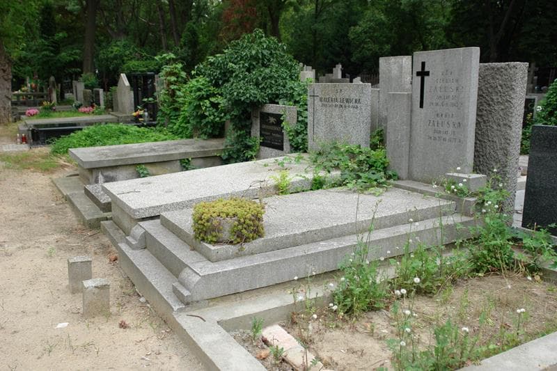 Zdjęcie grobu: Czesław Załuski