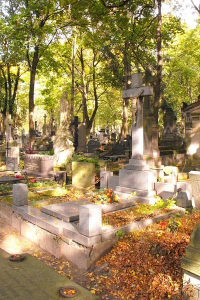 Zdjęcie grobu Antoni Hłasko (1)