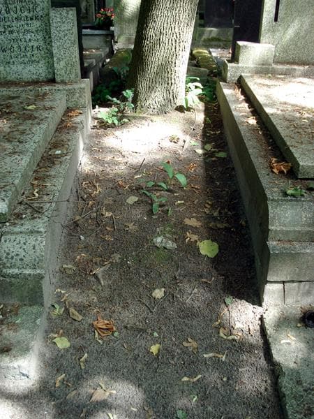 Zdjęcie grobu: Pole Grobowe