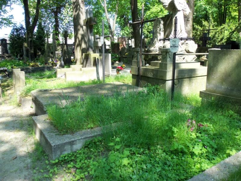 Zdjęcie grobu Zofia Kwiatkowska (1)