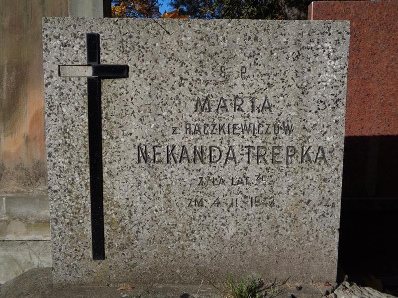 Zdjęcie grobu Maria Nekanda-Trepka (2)