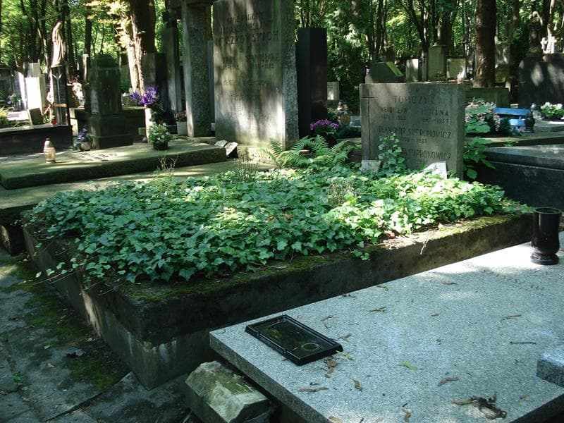 Zdjęcie grobu Wincenty Tomczyk (1)