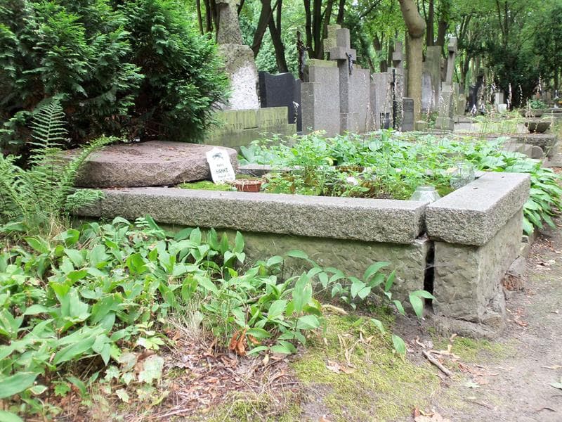 Zdjęcie grobu Karol Hanke (1)
