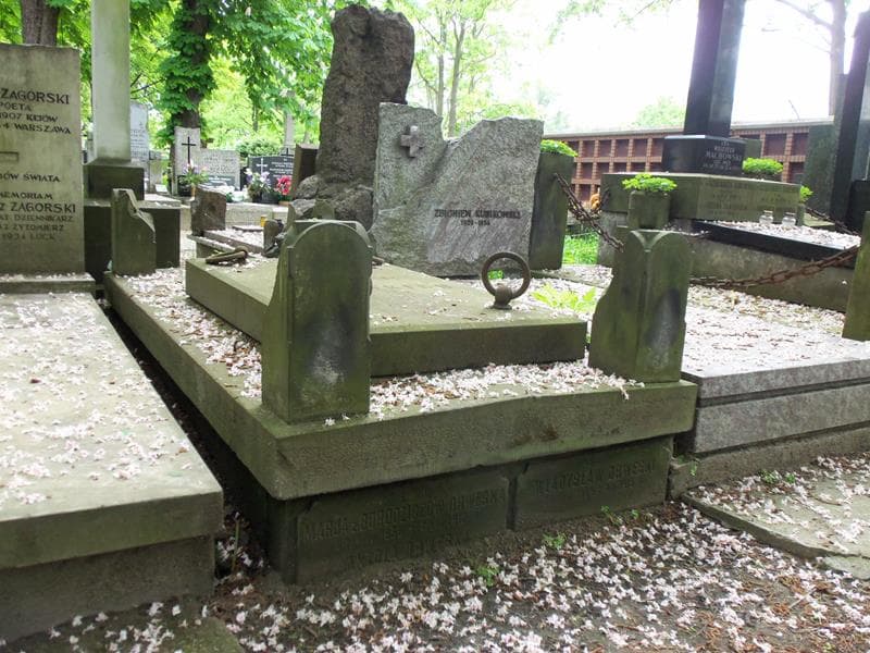 Zdjęcie grobu Marja Drwęska (1)