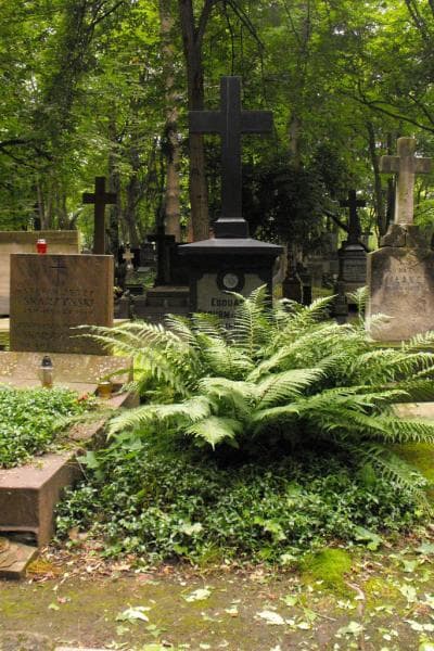 Zdjęcie grobu Edouard Stourm De Strem (1)