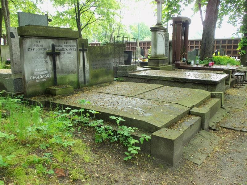 Zdjęcie grobu Aleksander Cegłowski (1)