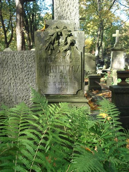 Zdjęcie grobu Joanna Alkiewicz (2)