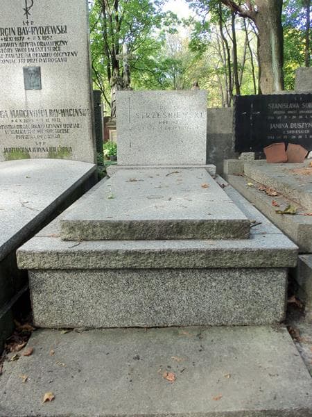 Zdjęcie grobu: Lucjan Strześniewski