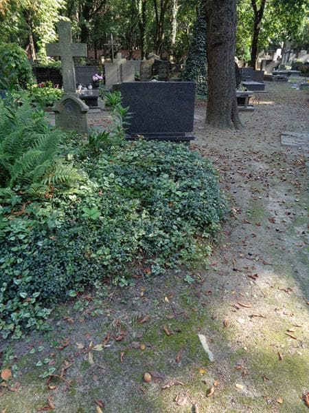 Zdjęcie grobu Pole Grobowe (1)